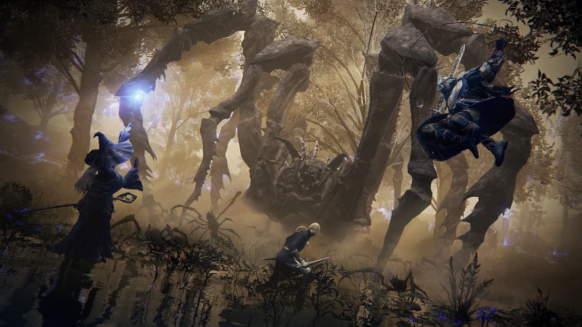 Elden Ring Nightreign Co-op
