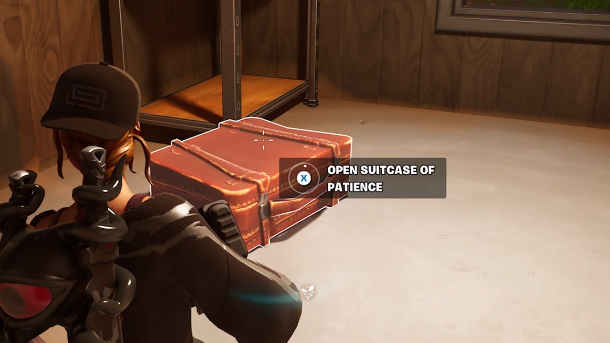 Fortnite suitcase of patience