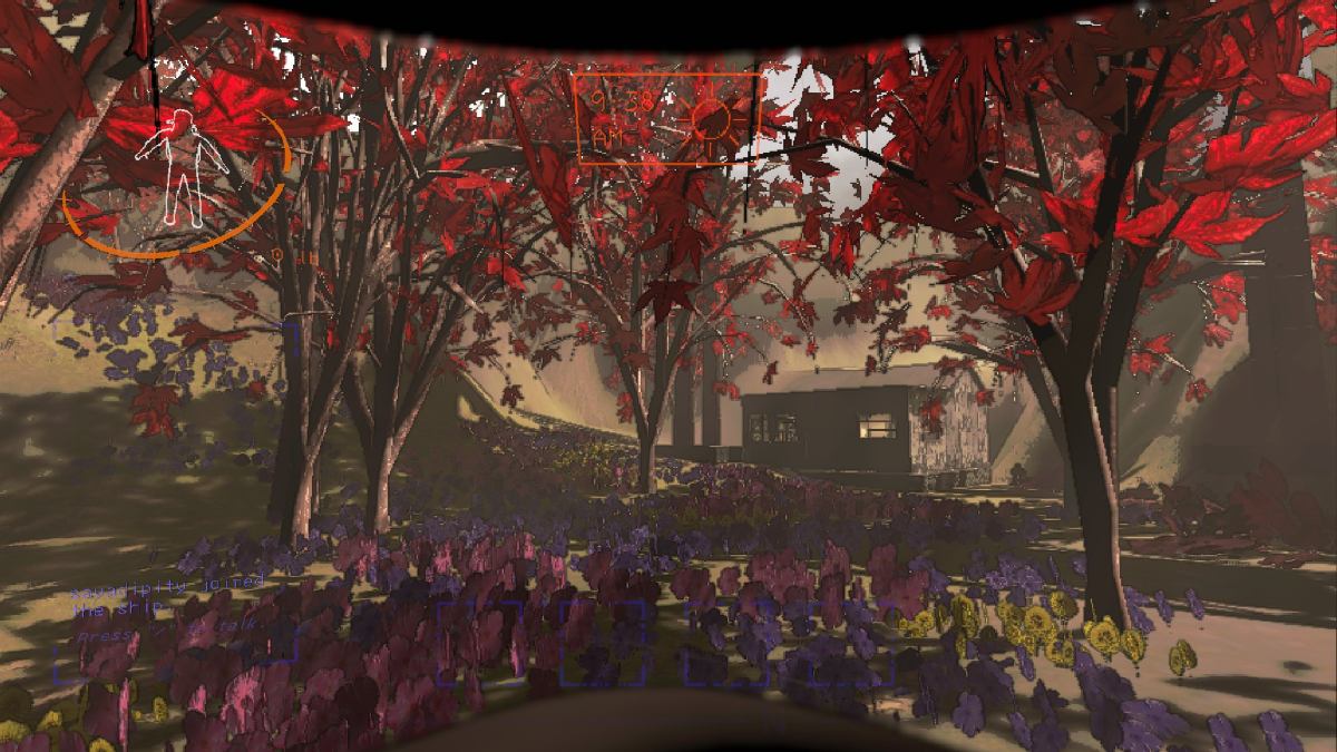 Adamance forest with locked cabin in background
