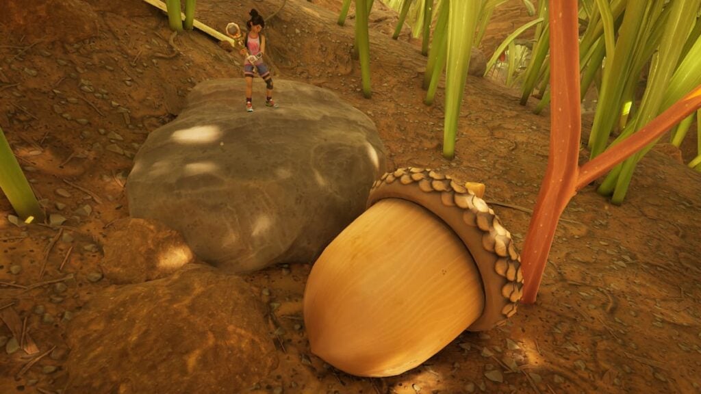 Picture showing a player standing near a Acorn in Grounded 2.