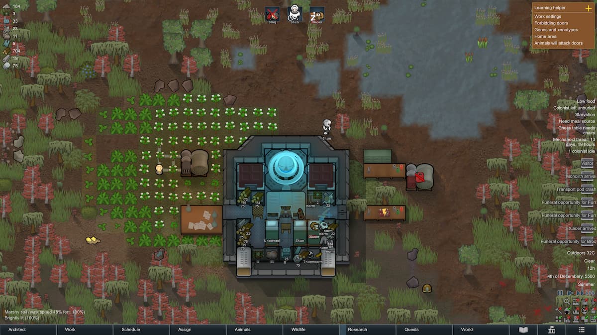 Picture showing the cotton plantation for the clothes in RimWorld.