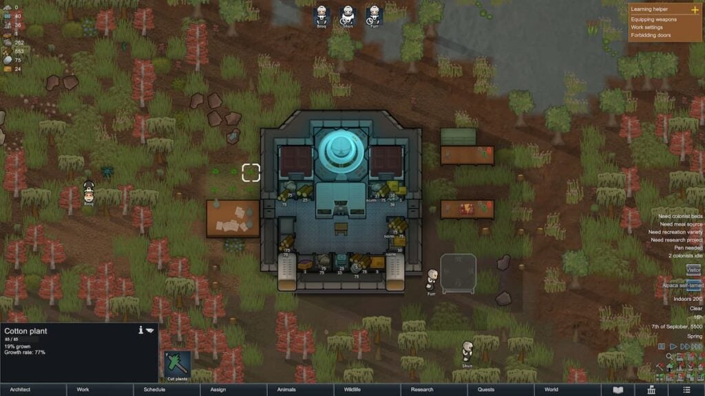 Picture showing the small cotton plantation for the clothes in RimWorld.