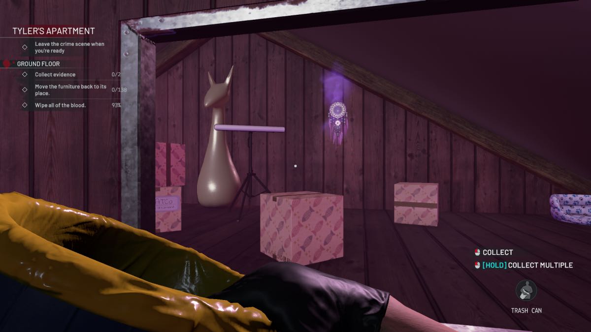 looking in the attic