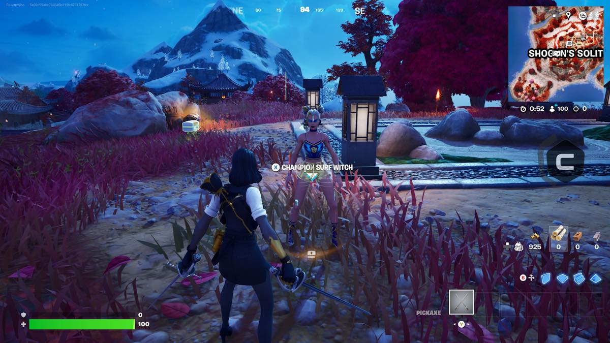 Fortnite Champion Surf With NPC