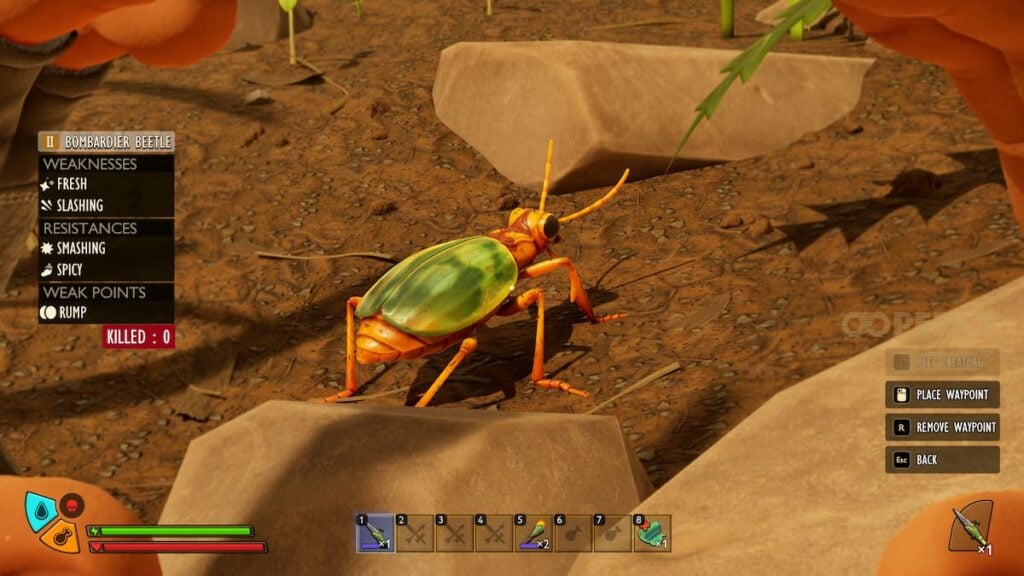 Picture showing creature like stinkbug through PEEP.R in Grounded 2.