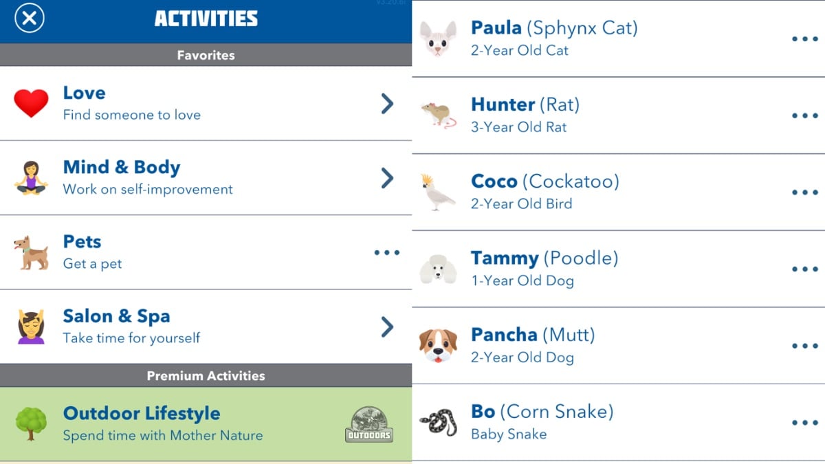 buying a poodle bitlife