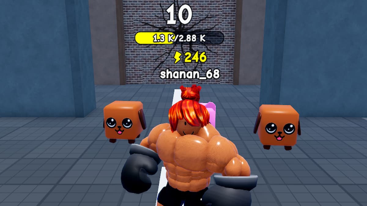 Punch Wall player standing with three pets