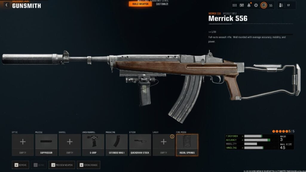 best Merrick 556 build in BO6