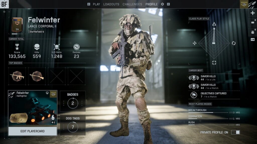Página de perfil en Battlefield 6