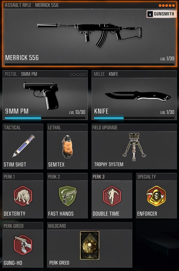best merrick 556 loadout in BO6