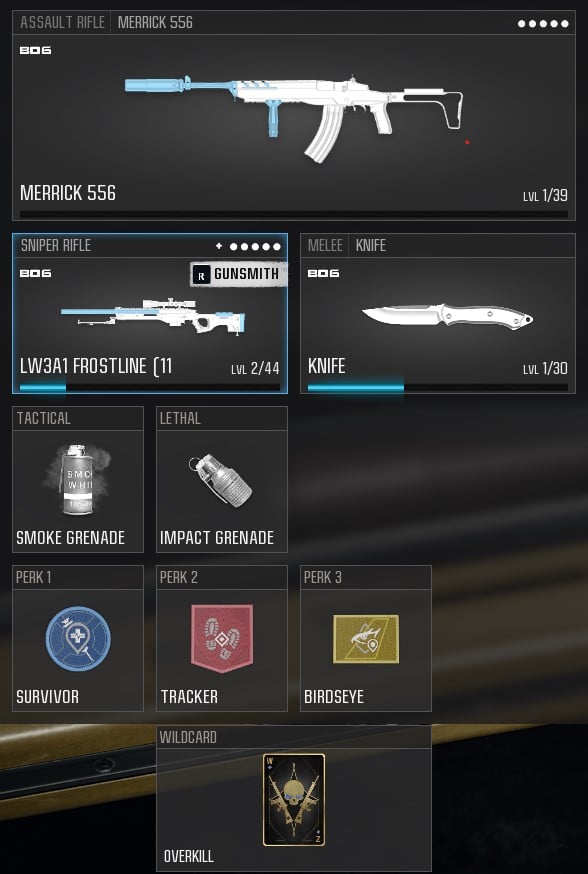 best merrick 556 loadout in Warzone
