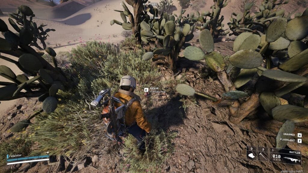 Higo chumbo en ARC Raiders