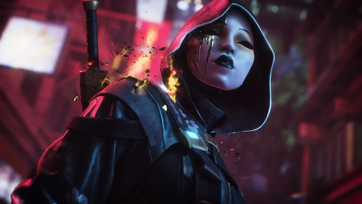 Masked skin in THE FINALS