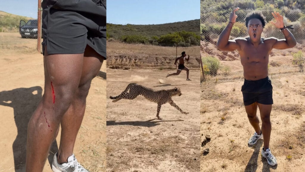 ishowspeed vs cheetah